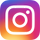 Vizard Instagram Icon