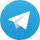 Vizard Telegram Icon